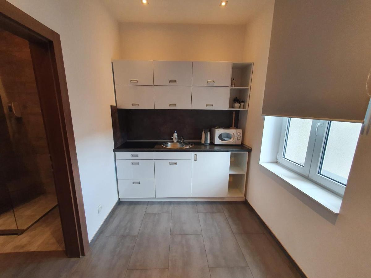 Apartamenty Mlynska 4 Gliwice Dış mekan fotoğraf